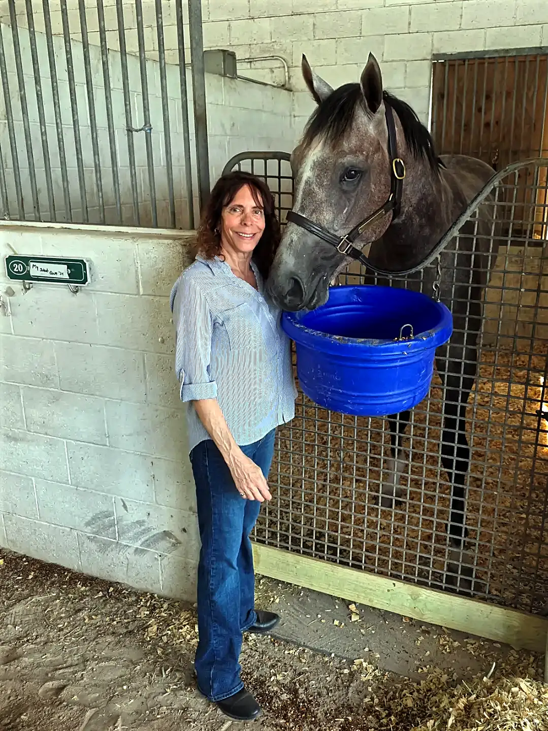 Shana Williams - feeding one of her horses